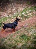 Grillwanderung-04-2025-72