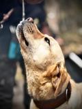 Grillwanderung-04-2025-81