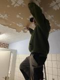 Renovierung_2024-5